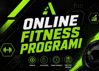 Online Fitness Programı